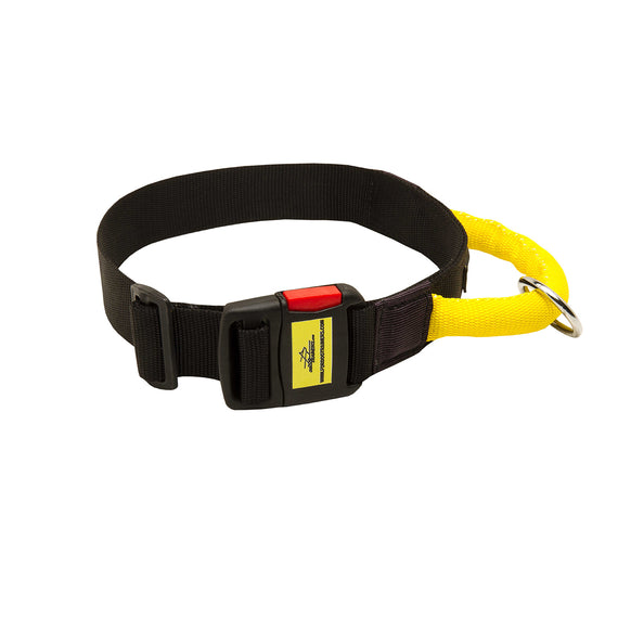 All Weather Nylon Dog Collar with Handle and Quick Release Buckle - DogSports4u