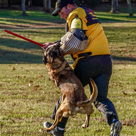 PBS4 - Protection scratch suit for Schutzhund/IPO/IGP