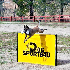 IGP Schutzhund 1m hurdle jump