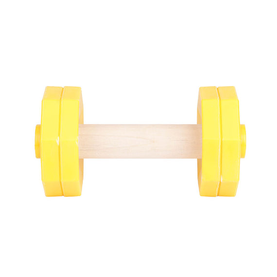 IPO Dumbbells - DogSports4u